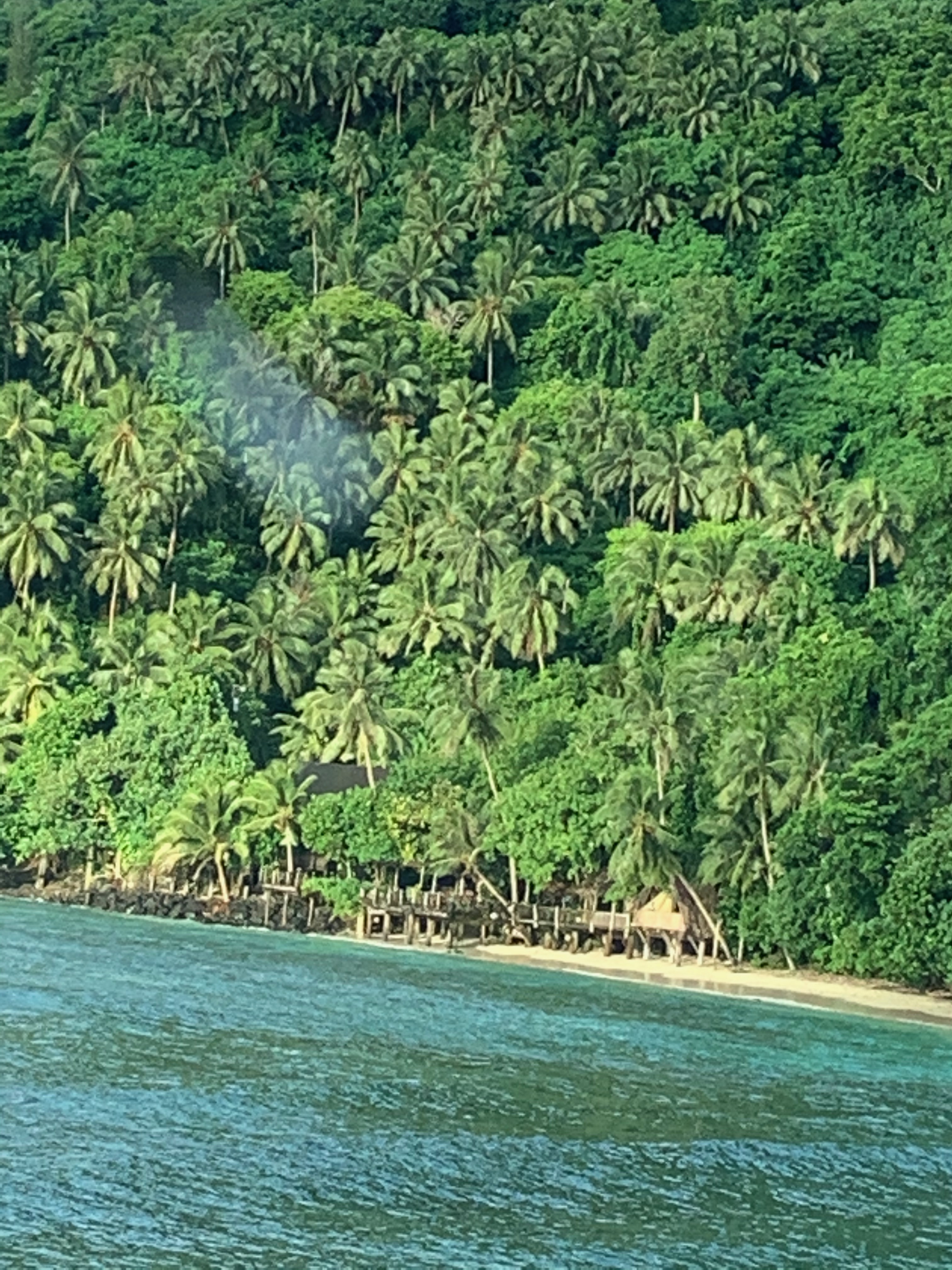 Lush tropical rainforest on Tutuila Island